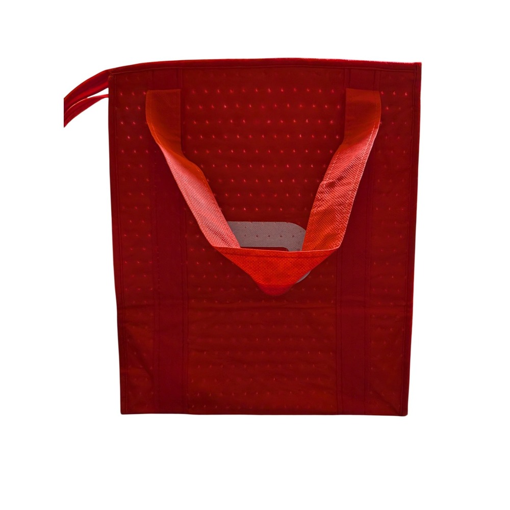 DoorDash Insulated Food Delivery Bag Red Thermal Zipper Tote Logo Dashers Bag